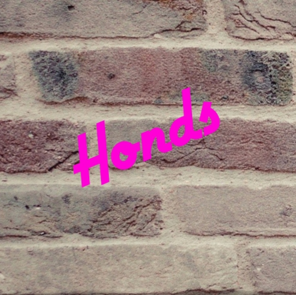 Meet your Posher - Fifi Honds